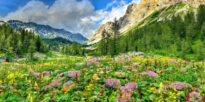 1366x768 Spring Meadow Wallpapers - Top Free Spring Meadow Backgrounds