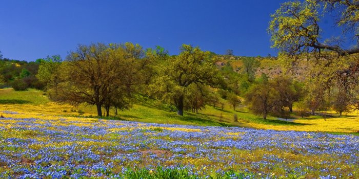 3888x2592 Flower Flowers Pretty Lovely Beautiful Freshness Grass Nature Nice