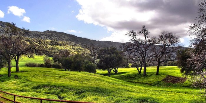 1920x1080 Spring Meadow HD 32110 1920x1080px