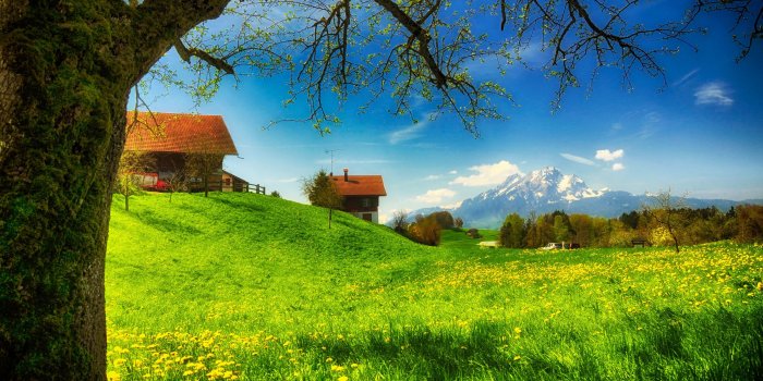 4154x2831 67+] Spring Meadow Wallpaper on WallpaperSafari