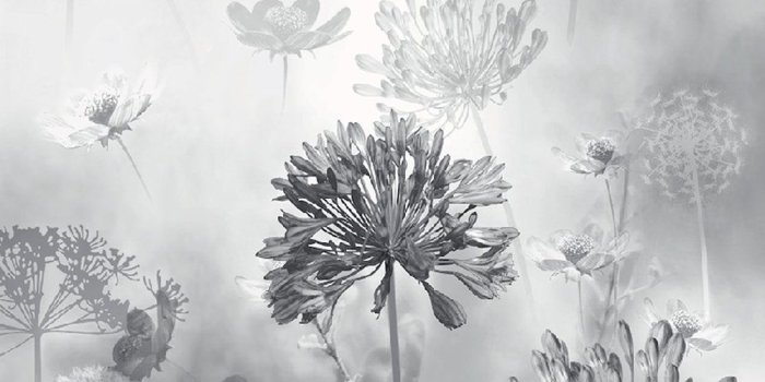 1000x1000 Spring Meadow by Arthouse - Mono - Wallpaper - 697401