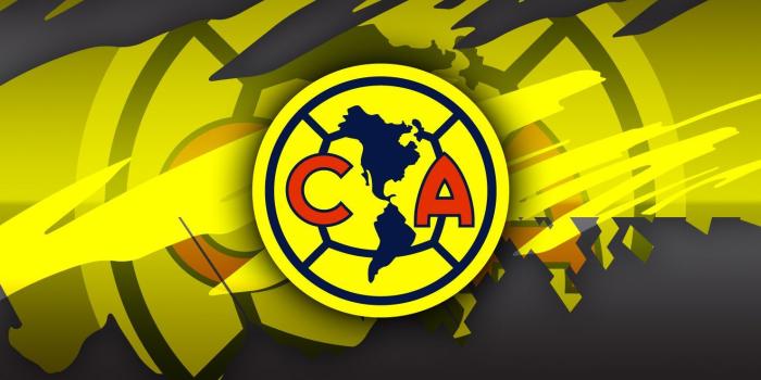 1480x1120 35+ America Soccer Team Wallpapers - Download at WallpaperBro