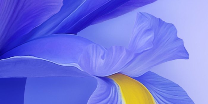 1080x2160 Download Xiaomi Mi 9 Wallpapers to customize your old smartphone