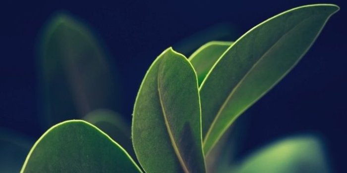 712x1267 Android And Iphone Wallpaper App For Your Smartphone for Best Iphone