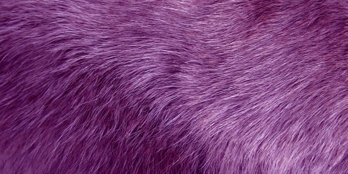 1920x1440 Purple Fur Wallpaper (64+ pictures)