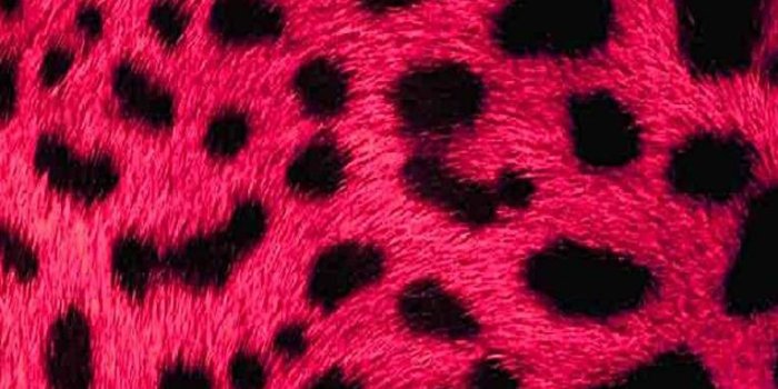 765x1280 Pink fur Wallpaper by trenser - c0 - Free on ZEDGE™