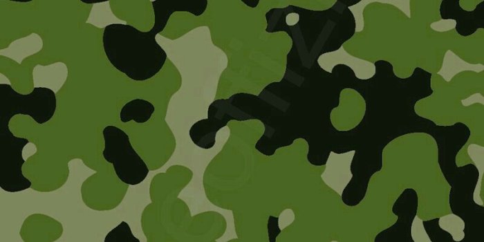 800x1200 Mayuran Mayu on Camouflage in 2019 | Military camouflage