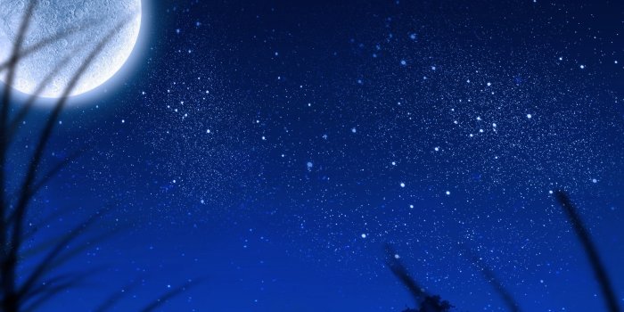 2560x1440 Download 2560x1440 Big Moon, Stars, Plants, Night, Scenic Wallpapers