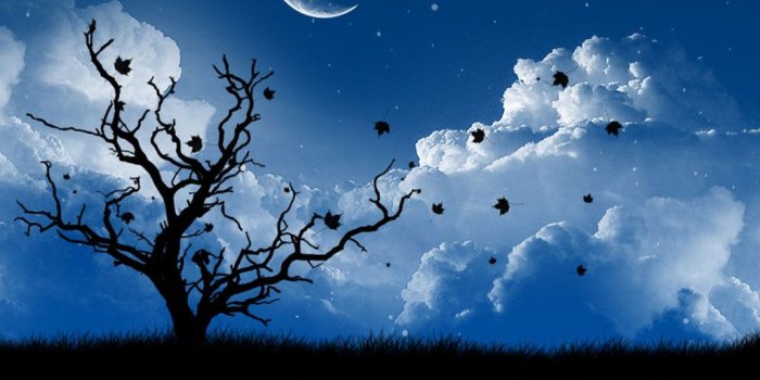 1024x768 Night Scenery Wallpapers | Art And Home Wallpaper HD