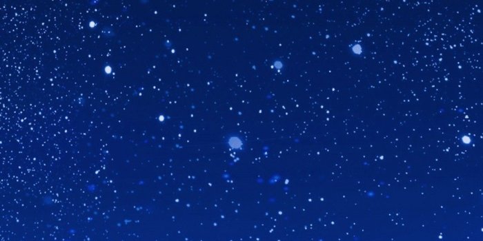 1080x2160 Download 1080x2160 Big Moon, Stars, Plants, Night, Scenic Wallpapers