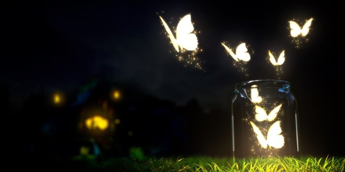 1332x850 Wallpaper macro, night, nature, earth, blur, bottle, grass, grass