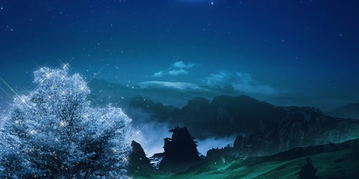 1600x1500 Download Night Nature Wallpaper Hd (59) - mariacenoura.pt