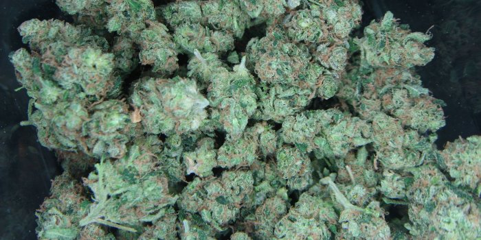 2816x2112 Best 59+ Kush Wallpaper on HipWallpaper | Kush Wallpaper, Platinum