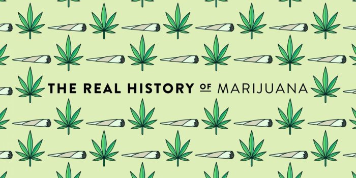 1244x700 Marijuana weed 420 drugs wallpaper | 3000x1688 | 813368 | WallpaperUP