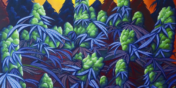 3359x2060 Trippy Pot Leaf Wallpapers (55+ images)