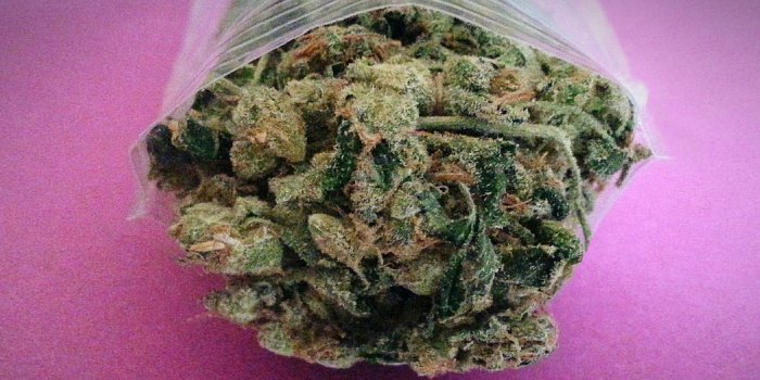 1600x900 The High Price of Cheap Weed | Grist