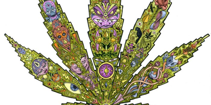 1280x1497 open your mind | freshhhasfckkk | Weed pictures, Weed stickers, Weed