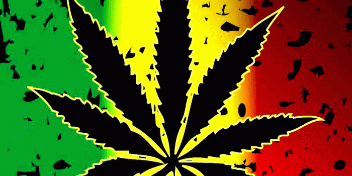 964x900 Marihuana and Weed Wallpapers 3.3 APK Download - Android