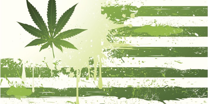 5101x3266 Is weed bad for you? - Maybe, but not like you probably think