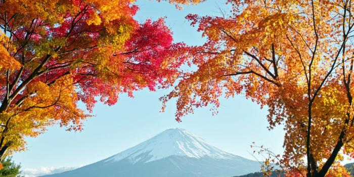 3100x2047 80 Mount Fuji HD Wallpapers | Background Images