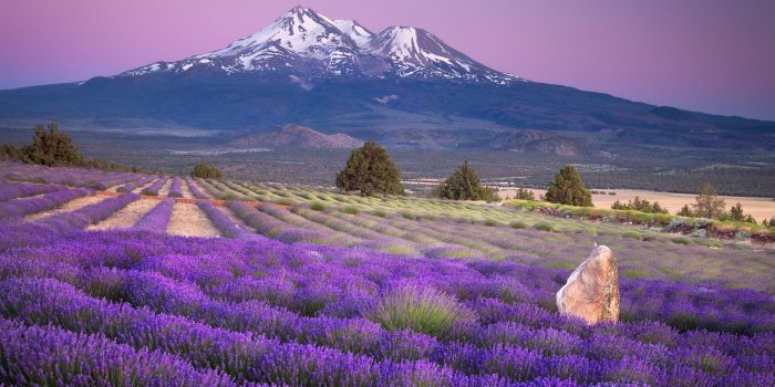 1920x1080 Mount Fuji Wallpapers High Definition Desktop Background