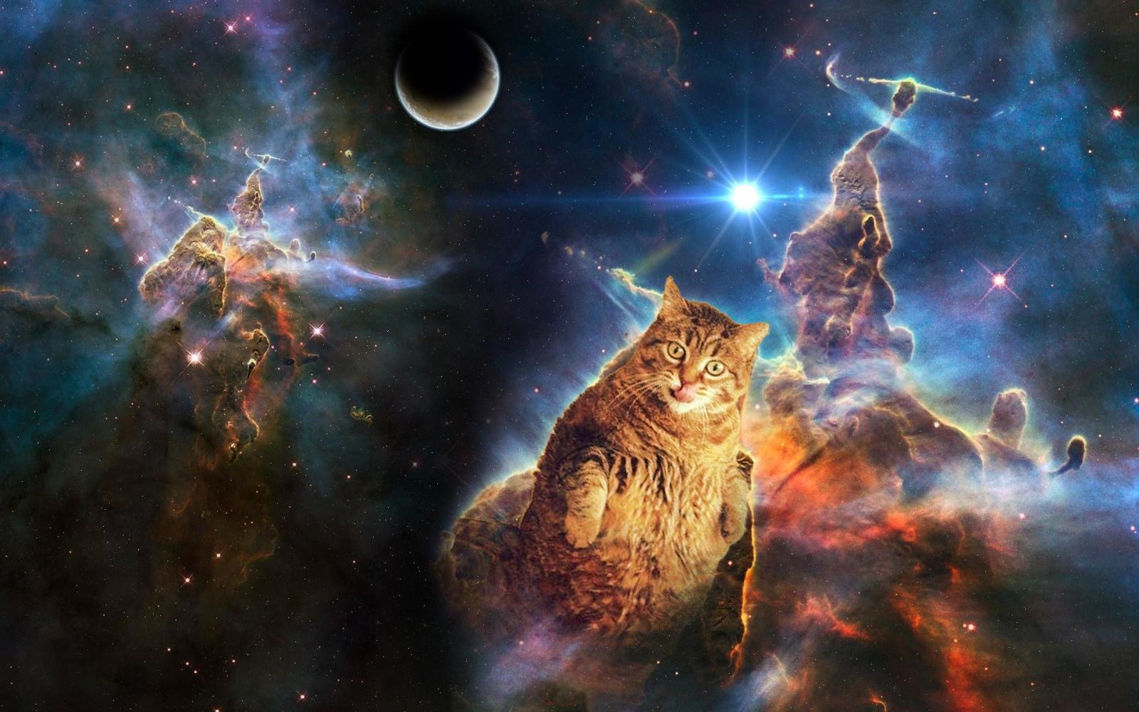 2880x1800 Space Cat Wallpaper (63+ images)