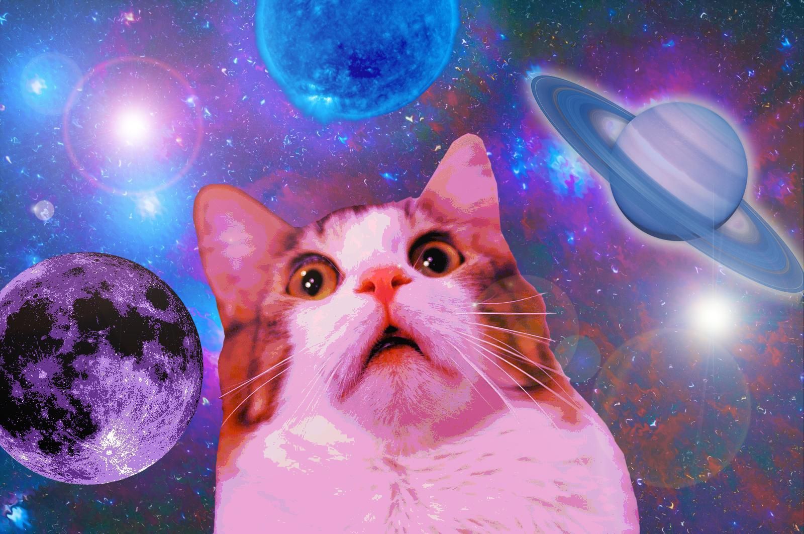 1600x1062 Space Cat Wallpapers For Iphone For Desktop Wallpaper 1600 x 1062 px