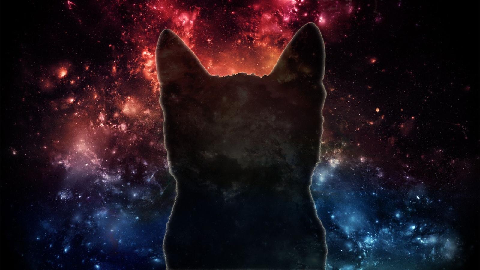 1920x1080 Space Cats HD Wallpaper (78+ images)