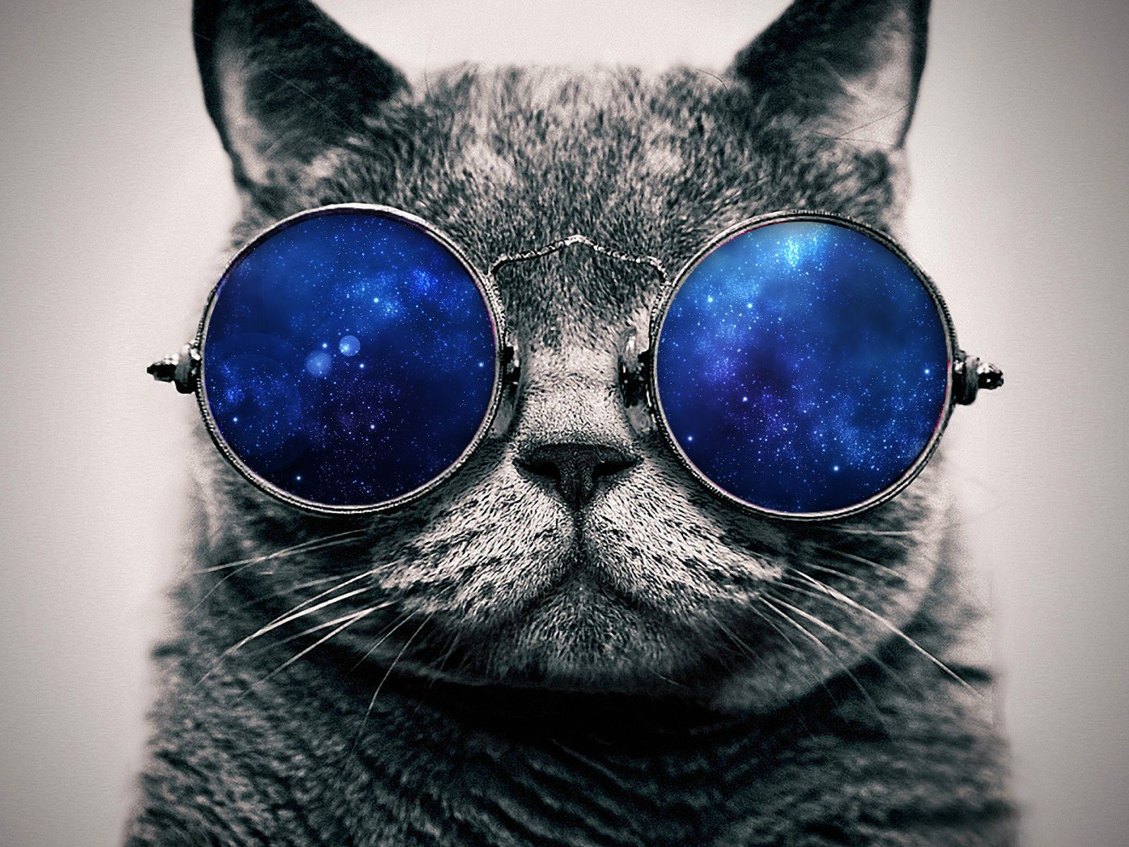 1600x1200 Cat with Galaxy Glasses | Cosmic Cat - Desktop by benjgonzales on