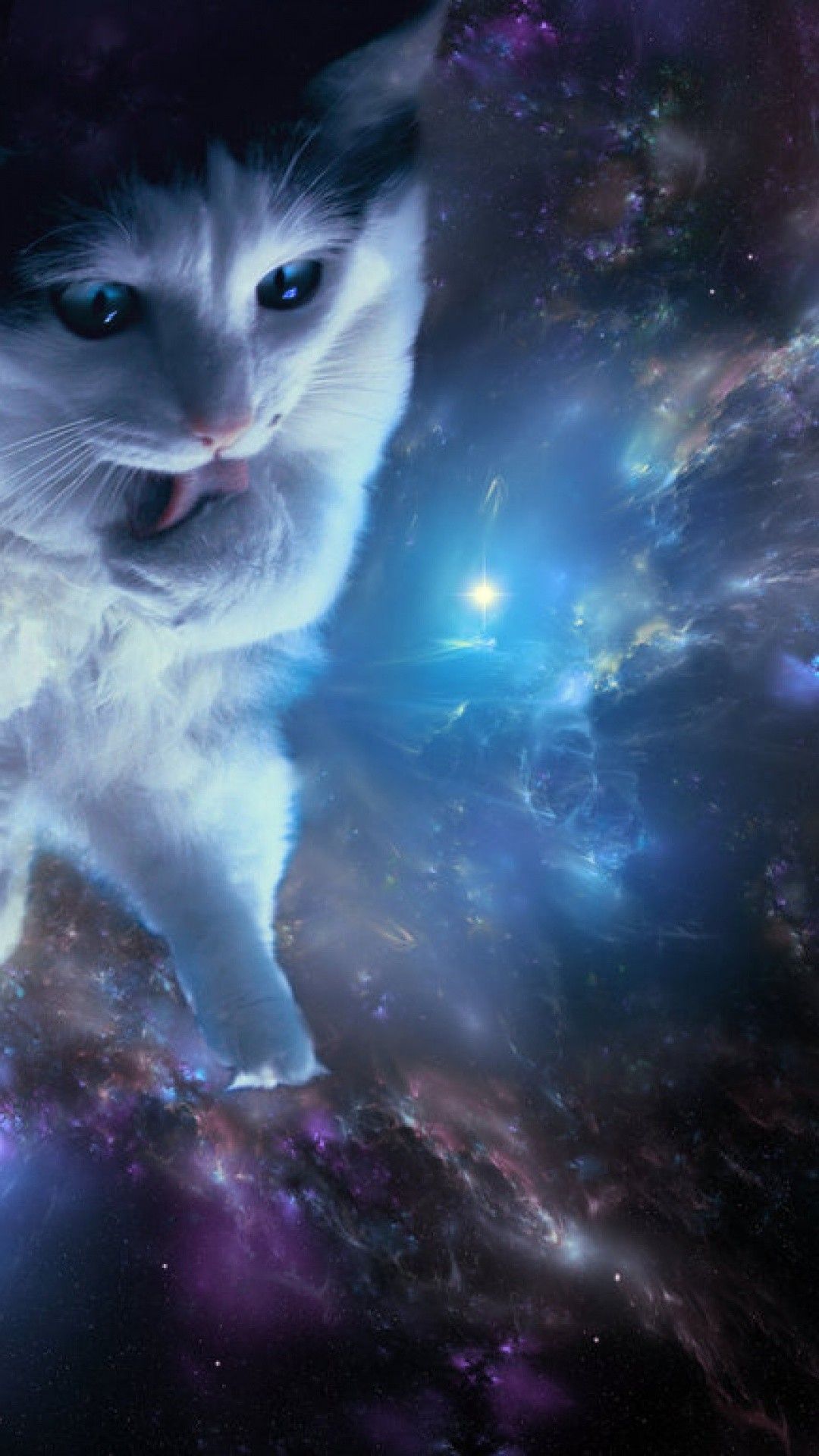 1080x1920 78+ Space Cat Wallpapers on WallpaperPlay