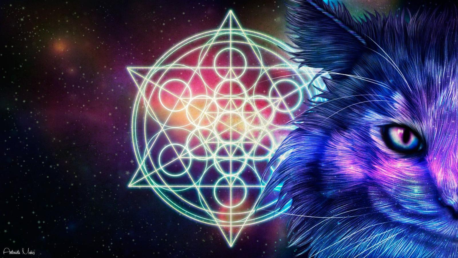 1920x1080 ArtStation - Cosmic Cat, Maria Muñoz