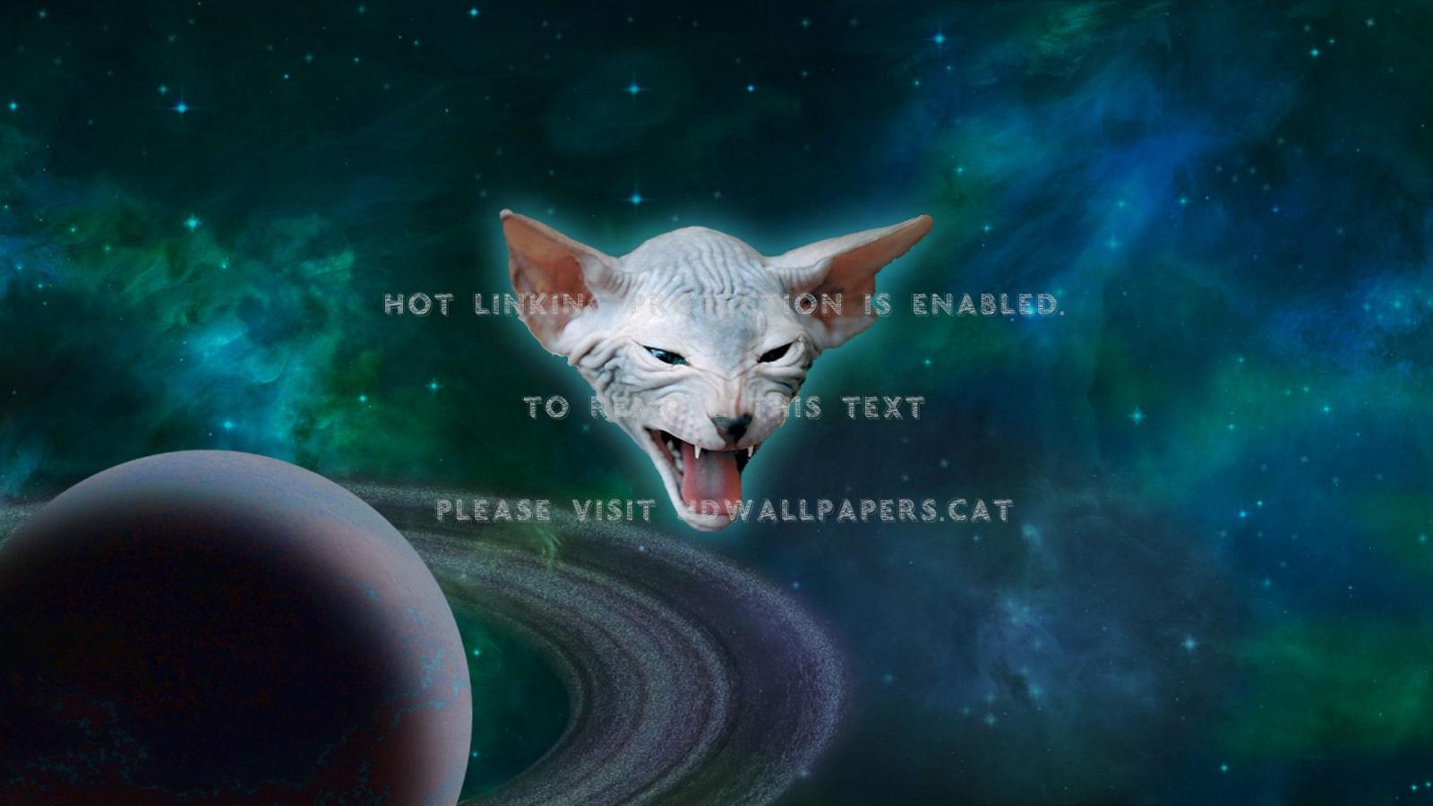 1920x1080 cat 9 from outer space! kitty cosmic