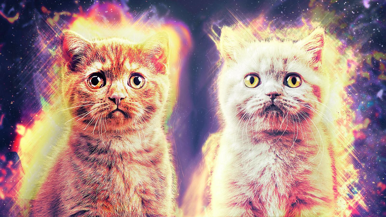 1920x1080 Cosmic Kittens Chromebook Wallpaper