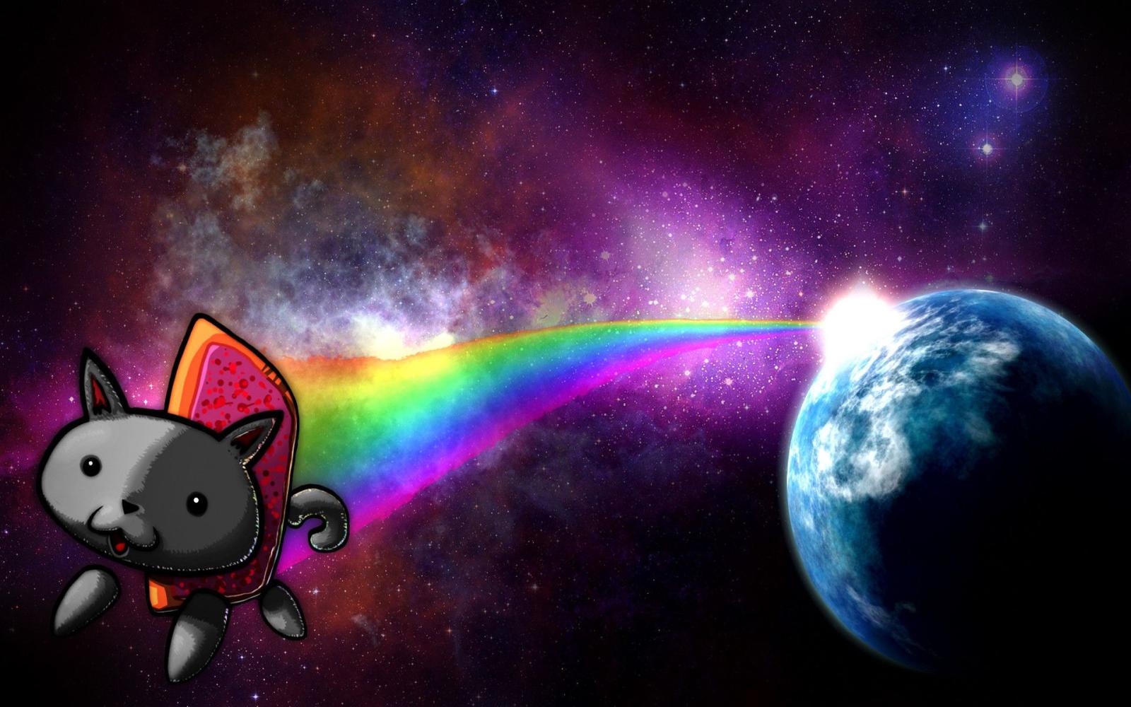 1920x1200 78+ Space Cat Wallpapers on WallpaperPlay
