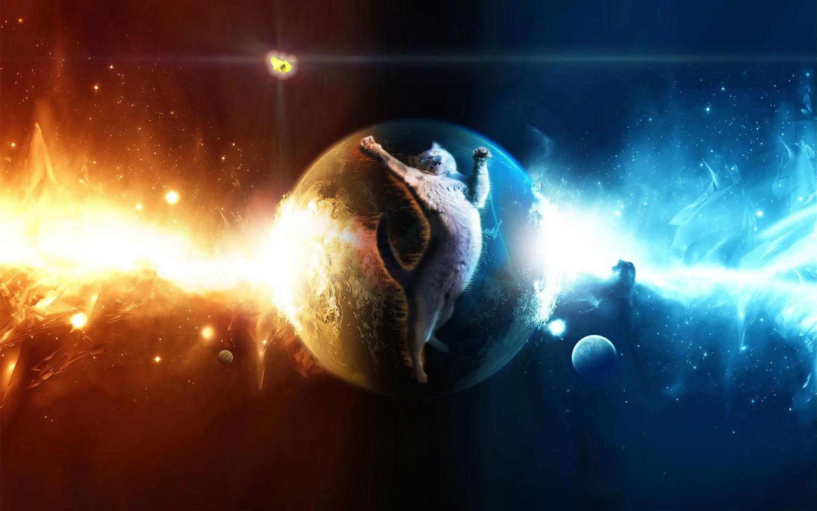 1920x1200 Space Cat and the Cosmic Butterfly : spacecats