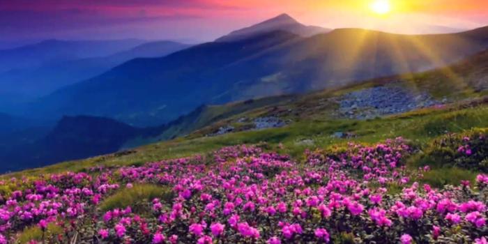 1280x720 4K NATURE WALLPAPERS | BEAUTIFUL |