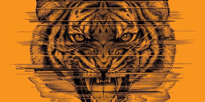 1080x1920 Wallpapers - Primitive Skateboarding