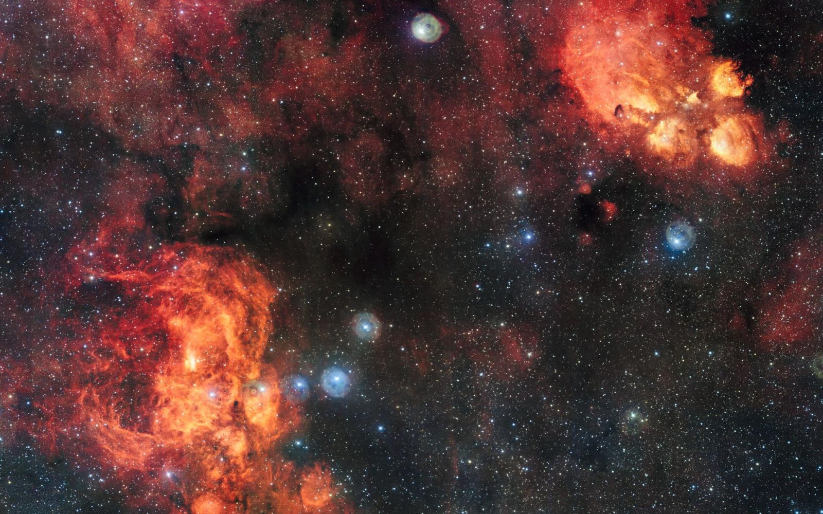 1920x1200 Celestial Cat Meets Cosmic Lobster | International Space Fellowship