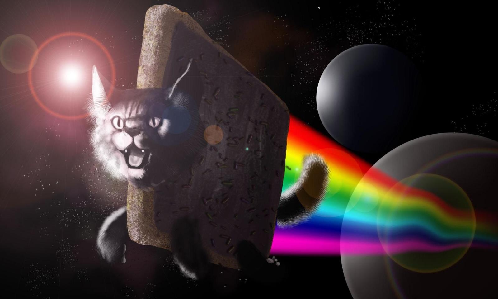 2000x1200 HD wallpaper: Nyan cat, digital art, space art, animals, colorful
