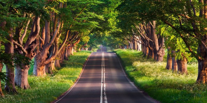 1920x1080 Nature HD Wallpapers & Images 4k & 8k Resolution