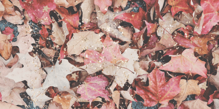 1440x810 Free Desktop Wallpapers - Dizzybrunette