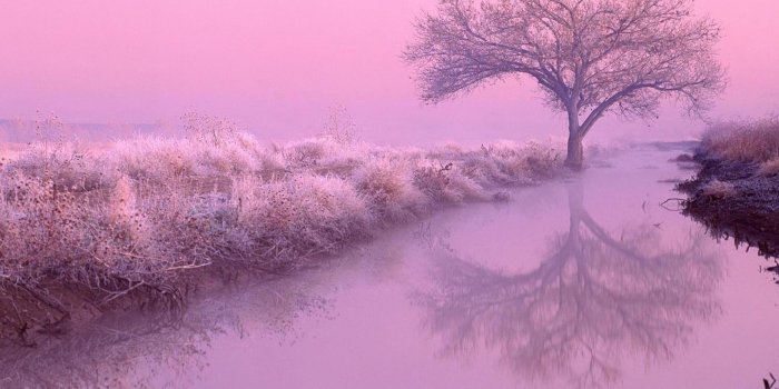 2560x1920 Pink Nature Wallpapers