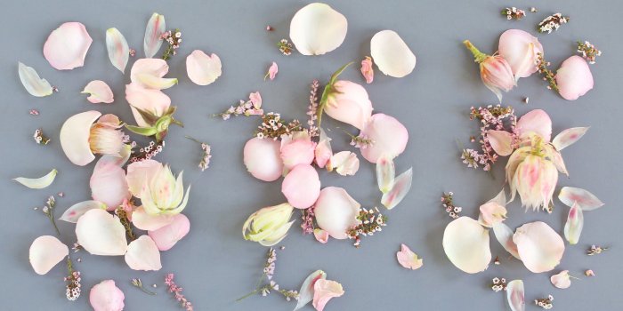 3690x2458 DIGITAL BLOOMS FEBRUARY 2018 | FREE DESKTOP WALLPAPERS - JustineCelina