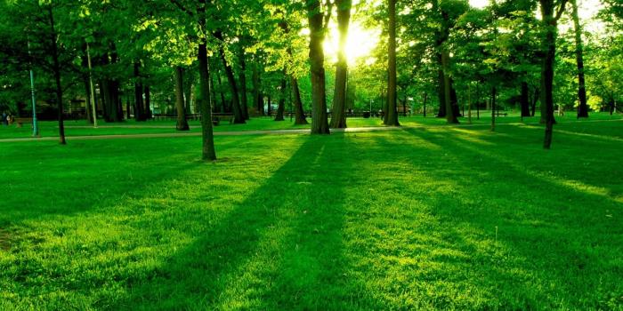 1920x1200 Free Computer Wallpapers for Download in HD for Desktops and Laptops