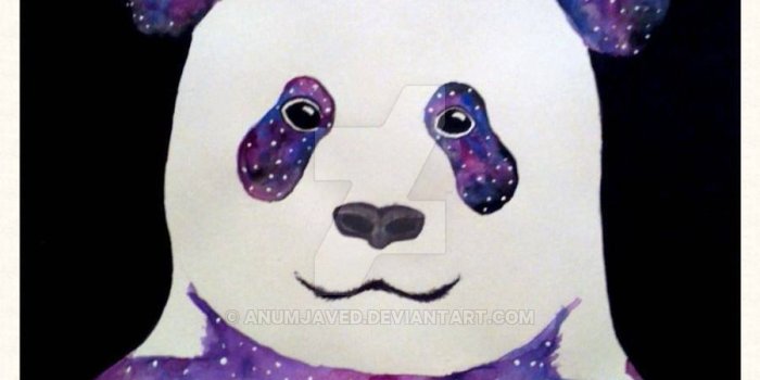 900x1200 Galaxy Panda by AnumJaved