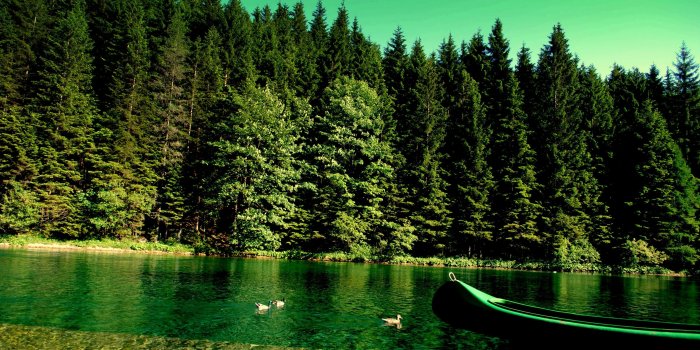 3840x2400 4k Nature Wallpaper Hd