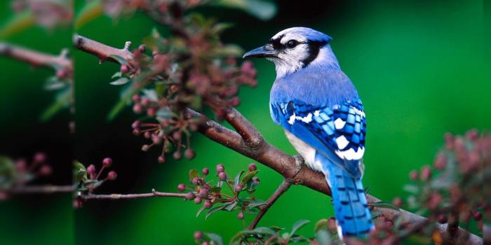 1920x1080 Beautiful Wallpapers Computer ·① WallpaperTag