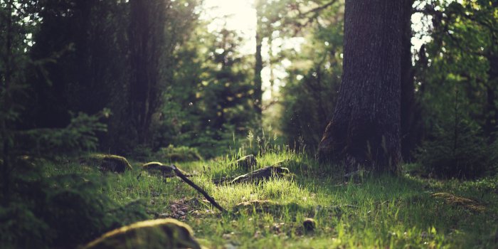 3840x2160 Top 2017 4K Nature Wallpaper #66860 Wallpaper | Download HD Wallpaper