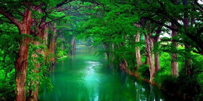 1920x1080 4k nature wallpapers | HD Wallpapers , HD Backgrounds,Tumblr