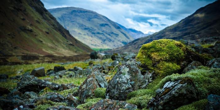 1920x1108 4k nature wallpapers | HD Wallpapers Download